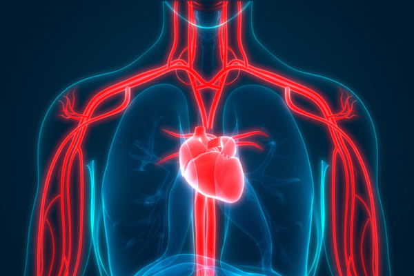 Mejora tu sistema cardiovascular